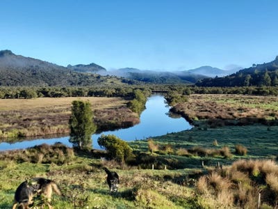 /international/nz/17-karuhiruhi-road-opononi-far-north-380066086523/