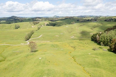 /international/nz/wellsford-rodney-380066089729/