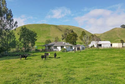 /international/nz/618-te-weta-road-waikite-valley-rotorua-380066108549/