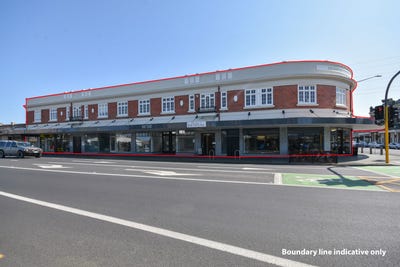 /international/nz/south-dunedin-dunedin-city-380066141838/