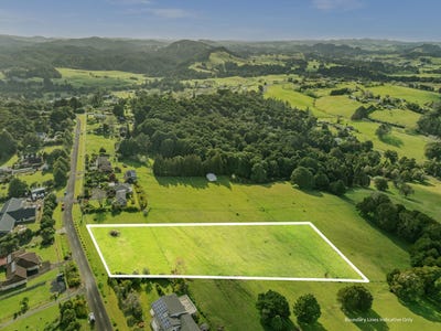 /international/nz/0-waitaua-road-kauri-whangarei-380066094675/