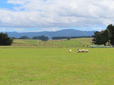 /international/nz/101-umutaoroa-road-dannevirke-tararua-380066084090/