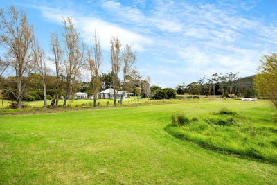 /international/nz/411-pine-valley-road-dairy-flat-rodney-380066084030/