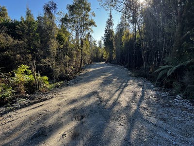 /international/nz/kaniere-westland-380066167052/