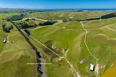 /international/nz/363-caseys-road-seddon-marlborough-380066076977/