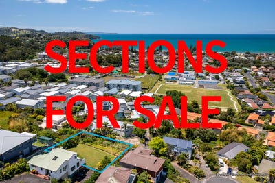 /international/nz/orewa-rodney-380066100901/
