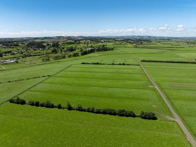 /international/nz/waiuku-franklin-380066082107/
