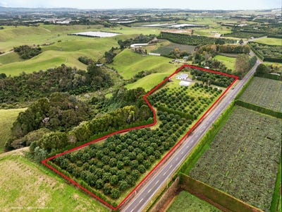 /international/nz/536-maniatutu-road-pongakawa-western-bay-of-plenty-380066087091/