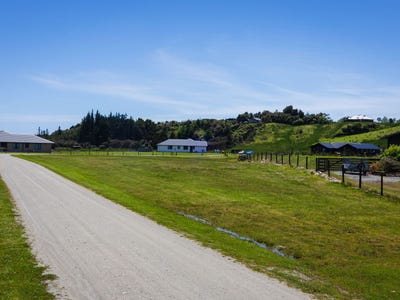 /international/nz/hokitika-westland-380066077383/