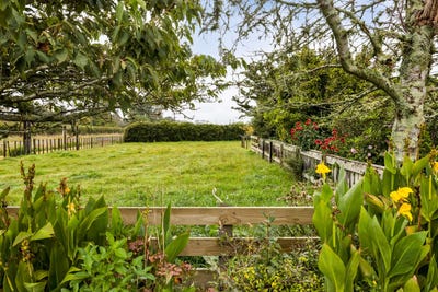 /international/nz/414-beaconsfield-road-midhirst-stratford-380066100225/
