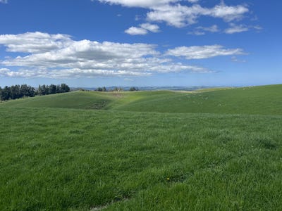 /international/nz/five-forks-and-surrounds-waitaki-380066086071/