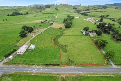 /international/nz/morrinsville-matamata-piako-380066086257/