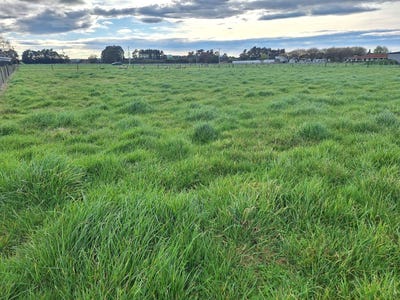 /international/nz/dannevirke-tararua-380066075492/