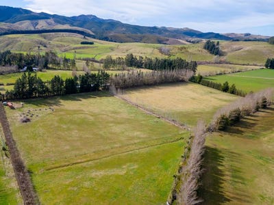 /international/nz/98-sladdens-bush-road-oxford-waimakariri-380066077173/