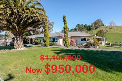 /international/nz/208-adelaide-road-dannevirke-tararua-380066109789/