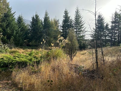 /international/nz/1-mt-lyford-avenue-lyford-hurunui-380066096467/