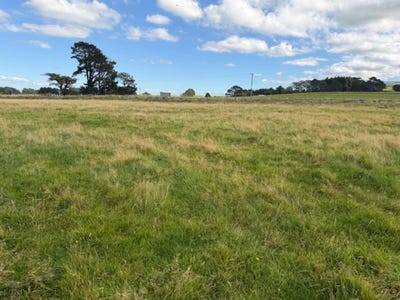/international/nz/dannevirke-tararua-380066084129/