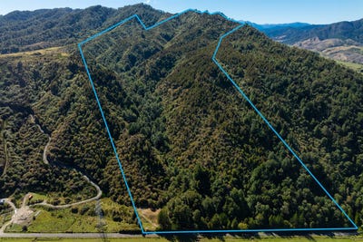 /international/nz/288-matiri-valley-road-murchison-nelson-bays-380066112632/