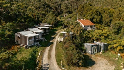 /international/nz/charleston-buller-380066116291/