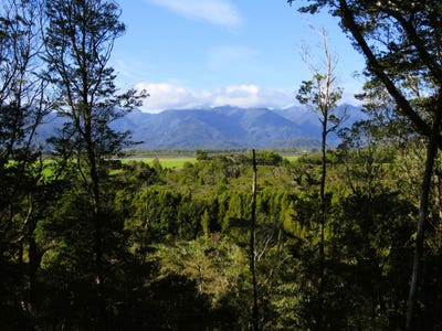 /international/nz/charleston-buller-380066105162/