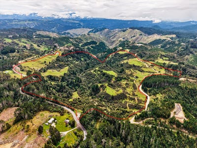 /international/nz/tuahu-road-tolaga-bay-gisborne-380066086624/