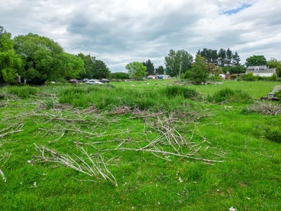 /international/nz/murphy-street-waimate-canterbury-380066082770/
