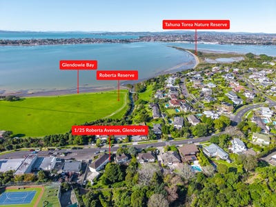 /international/nz/25-roberta-avenue-glendowie-auckland-city-380066096124/