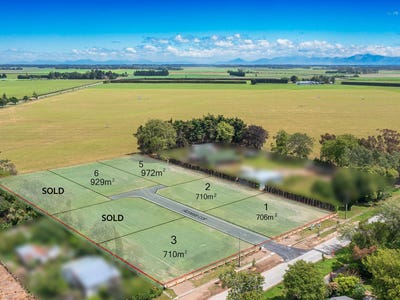 /international/nz/sarsfield-street-southbridge-selwyn-380066097358/