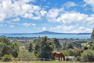/international/nz/69-keanes-road-maraetai-manukau-city-380066117416/
