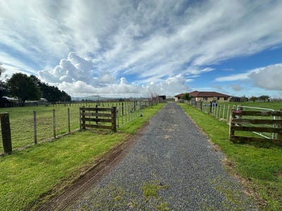 /international/nz/onewhero-franklin-380066114808/