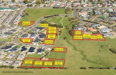 /international/nz/milson-palmerston-north-city-380066089777/