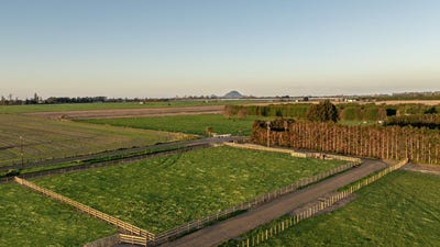 /international/nz/edgecumbe-whakatane-380066083168/