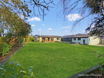 /international/nz/weka-street-oxford-oxford-waimakariri-380066113626/