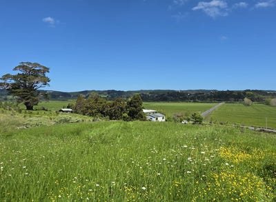 /international/nz/84-kiwitahi-road-waimauku-rodney-380066089082/
