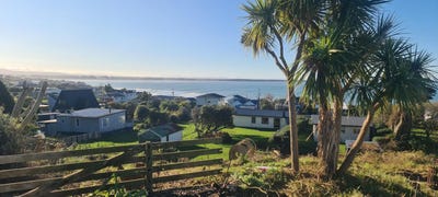 /international/nz/42-moana-street-riverton-southland-380066167595/