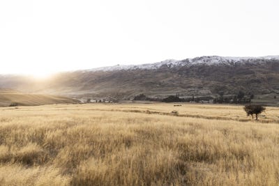 /international/nz/cardrona-wanaka-380066094084/