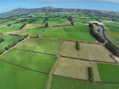 /international/nz/305-riverside-road-east-taieri-dunedin-city-380066083430/