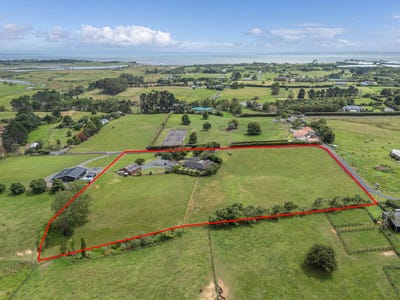 /international/nz/karaka-wellington-city-380066080995/