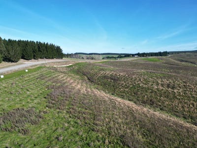 /international/nz/tapanui-clutha-380066081642/
