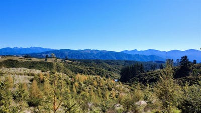 /international/nz/854a-neudorf-road-upper-moutere-tasman-380066085543/