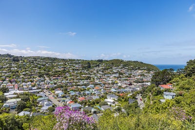 /international/nz/island-bay-wellington-city-380066119181/
