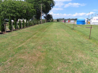 /international/nz/dannevirke-tararua-380066149805/