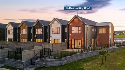 /international/nz/56-dendro-ring-road-milldale-rodney-380066115669/