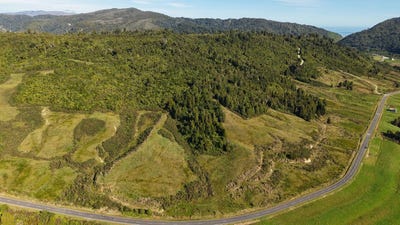 /international/nz/seddonville-buller-380066093069/