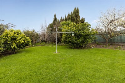 /international/nz/blenheim-central-marlborough-380066083874/