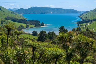 /international/nz/565-anakoha-road-marlborough-sounds-marlborough-380066092715/