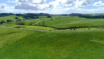 /international/nz/77-parker-road-wellsford-rodney-380066083260/