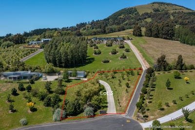 /international/nz/mosgiel-dunedin-city-380066084377/