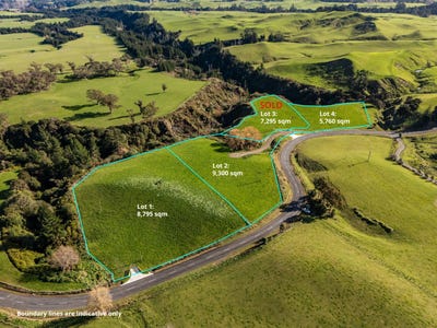 /international/nz/puketapu-hastings-380066081453/