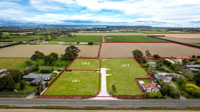 /international/nz/meeanee-napier-city-380066107635/
